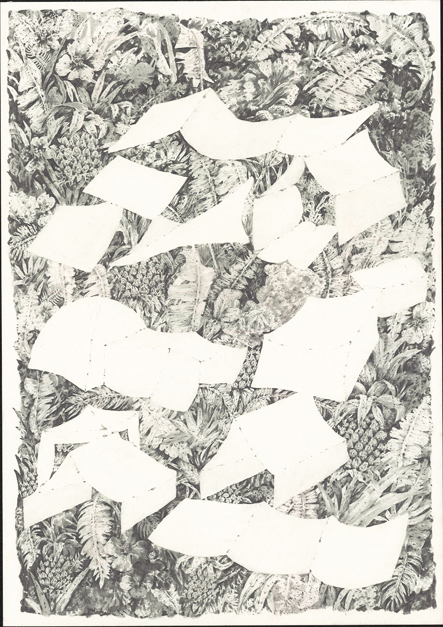 drawing pencil paper detail contemporary patrick roman scherer ornament vienna fine art tent jungle pattern