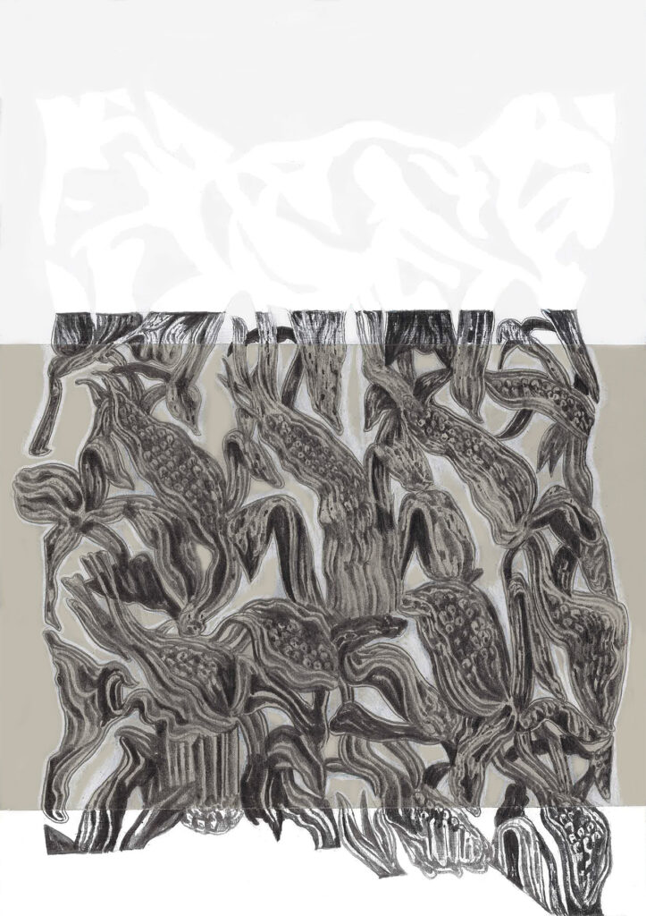 drawing pencil paper detail contemporary patrick roman scherer ornament vienna fine art installation object palmtree pattern acrylic