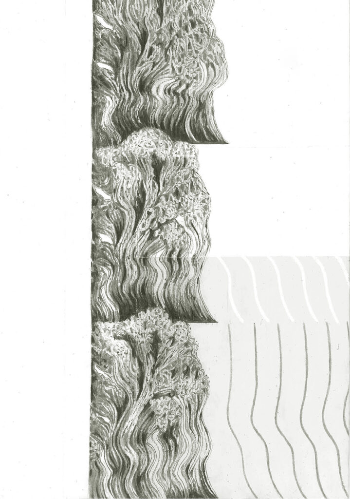 drawing pencil paper detail contemporary patrick roman scherer ornament vienna fine art installation object palmtree pattern acrylic