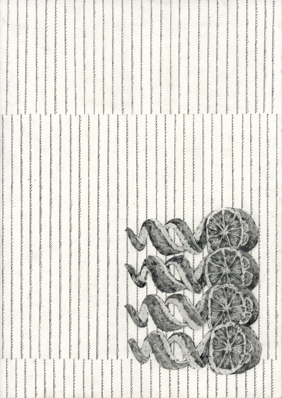 drawing pencil paper detail contemporary patrick roman scherer ornament vienna fine art installation object ppinestripes pattern