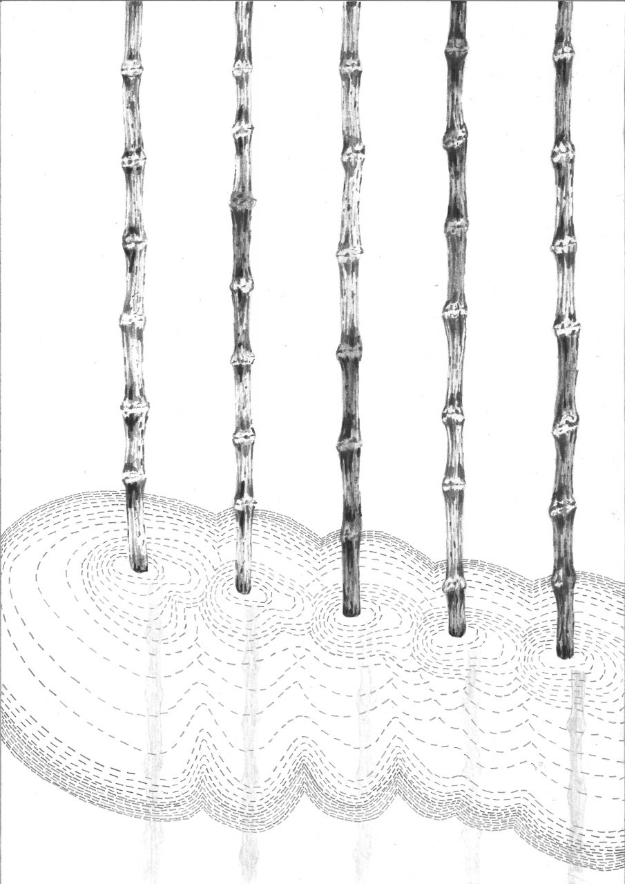drawing pencil paper detail contemporary patrick roman scherer ornament vienna fine art installation object graphite pattern